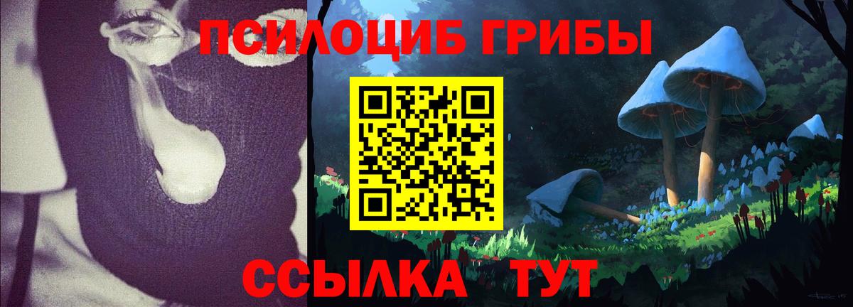 Псилоцибиновые грибы Psilocybine cubensis Воркута