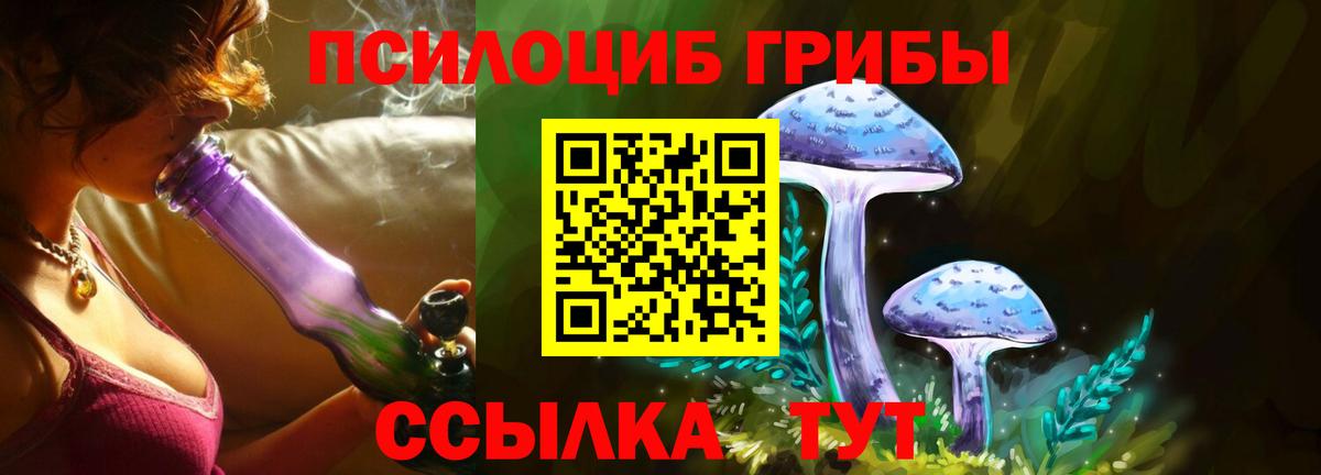 Псилоцибиновые грибы мицелий  Вход с VPN  Галлюциногенные грибы Psilocybe  Воркута 